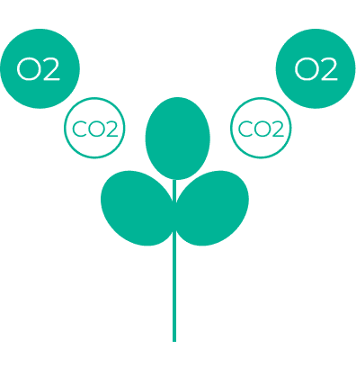 Absorbing 25-40kg CO₂